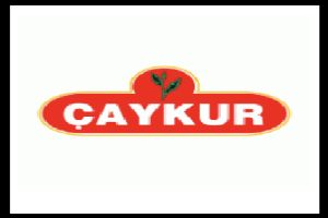 Caykur